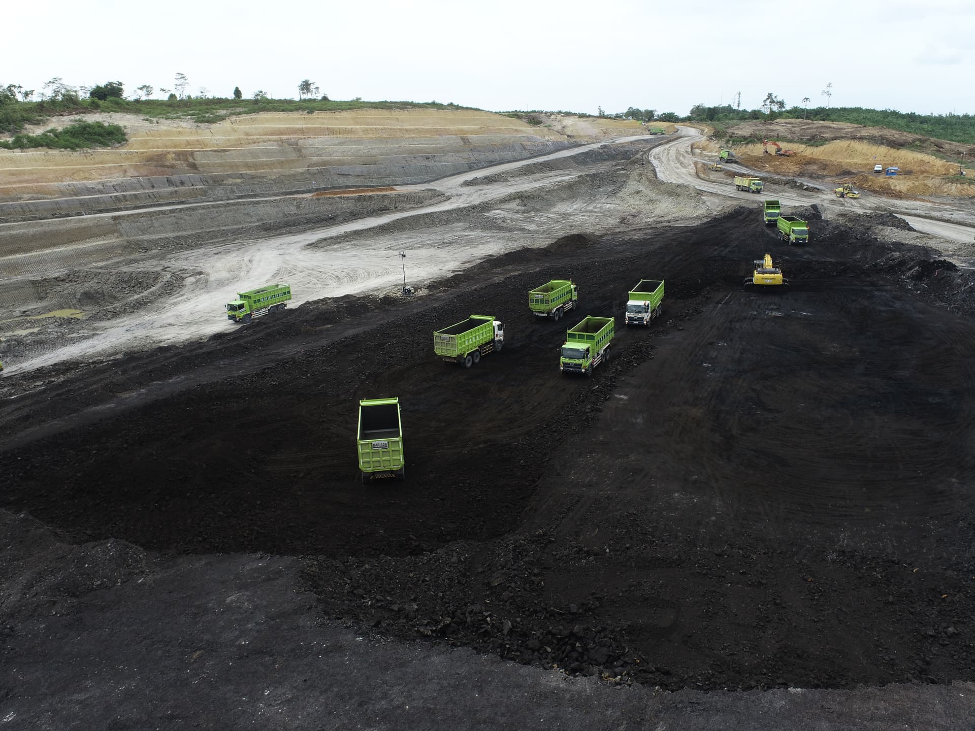 Berau Coal